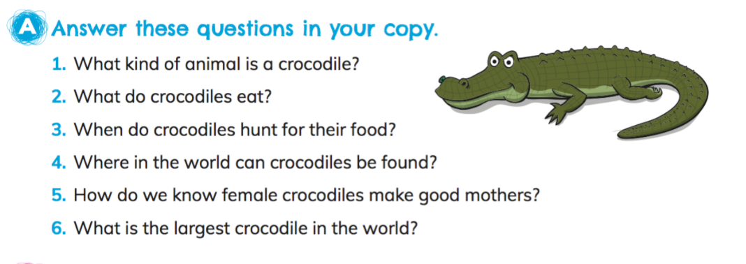 crocodile-questions – Scoil Naomh Micheál